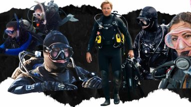 Recreational Diver Banner